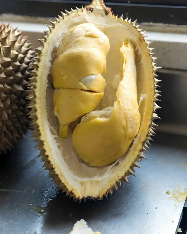 A large spiky durian fruit split open to reveal its creamy yellow custard-like pods.