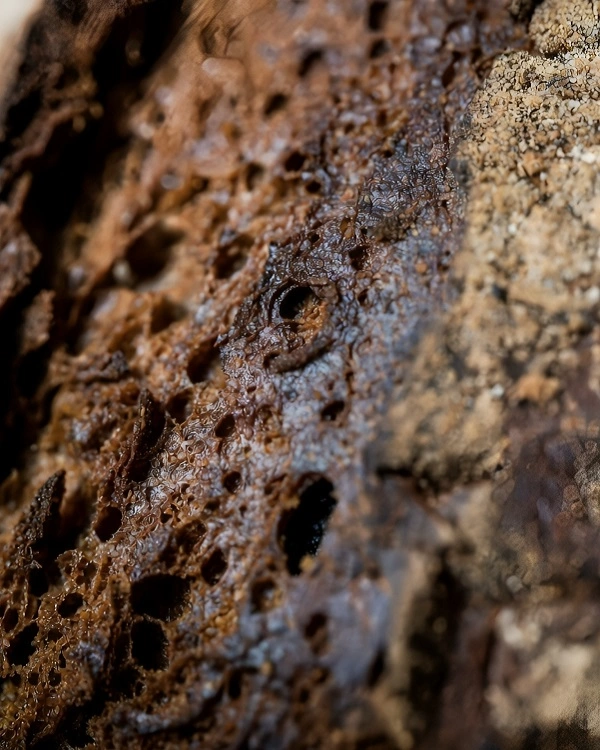 Macro close-up shot of the dense brown crumb and glossy crust of Borodinsky rye bread.
