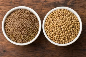 Two white bowls showing the difference between cumin and coriander seeds on a wooden surface, cumin seeds on the left and coriander seeds on the right.