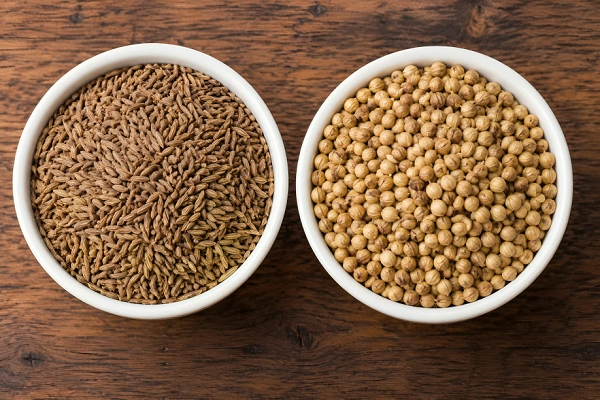 Two white bowls showing the difference between cumin and coriander seeds on a wooden surface, cumin seeds on the left and coriander seeds on the right.