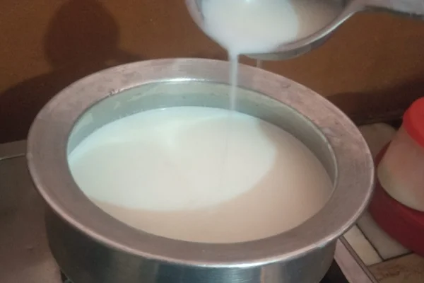 Simmering milk with sugar and water in a deep metal pot on the stove.
